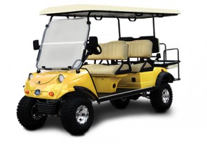 Evolution Golf Carts Unlimited Melbourne Florida As Your Resource For Golf Carts On The E Coast We Are Proud To Offer Our Customers Highest Quality Available Market